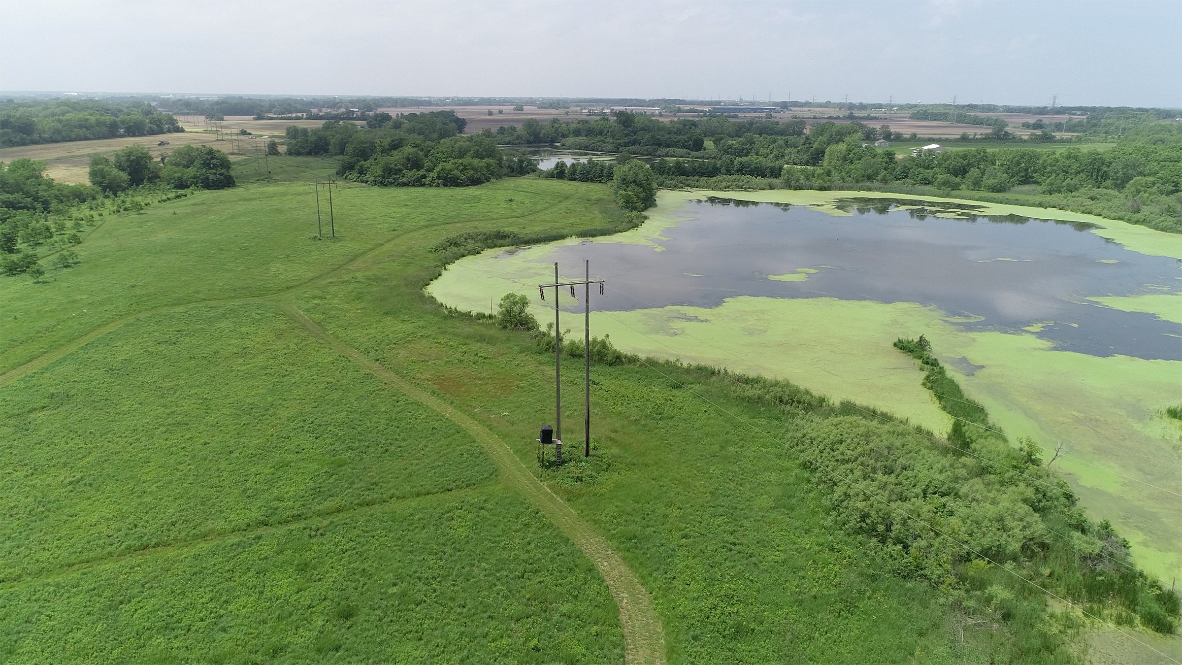 Lake County, Indiana farmland - LAND AUCTION - 147+/- ACRES OFFERED IN 3 TRACTS IN LAKE COUNTY, INDIANA